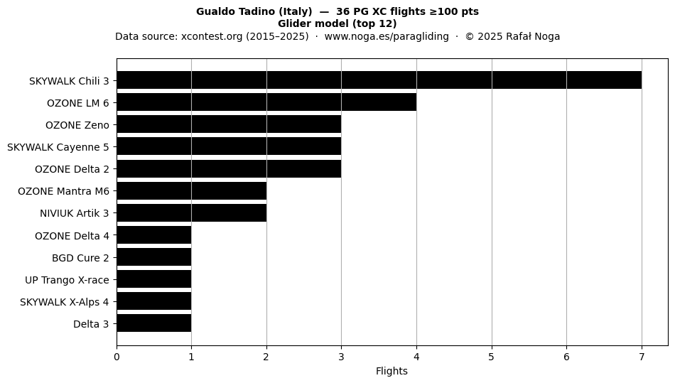 Glider model