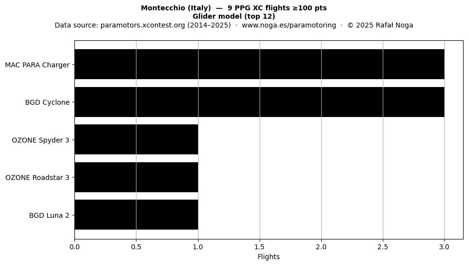 Glider model