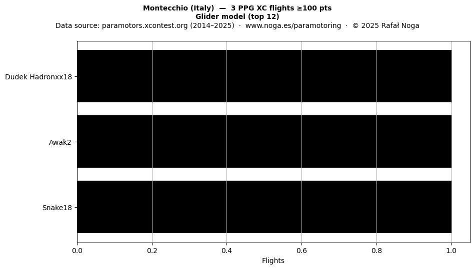 Glider model